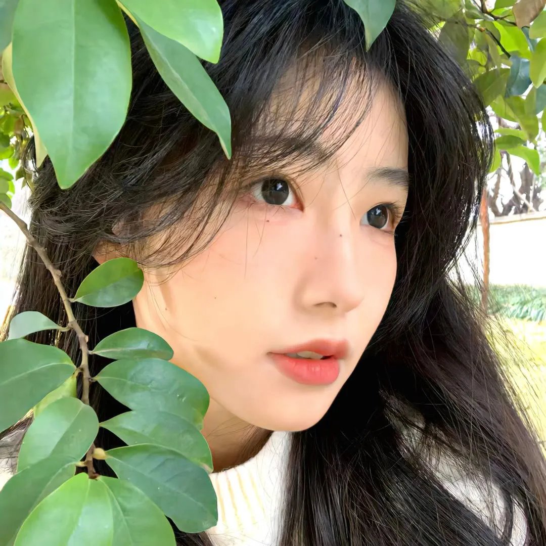 马甲藏不住后傅先生宠我上天